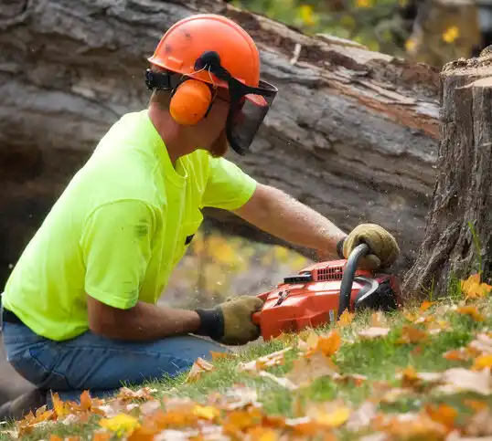 tree services Limestone